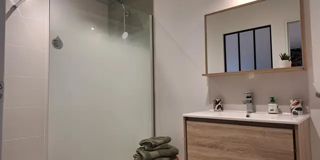 Les insolites de Sophie - Chambre Jungle - Salle de bain