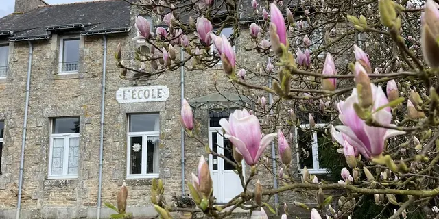 Salon de thé - Maison Ojigi - Trégranteur - Guégon - Morbihan