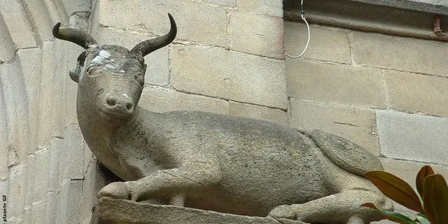 Malestroit boeuf église St-Gilles