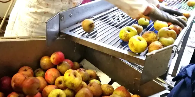 La-Ferme-a-Marcus