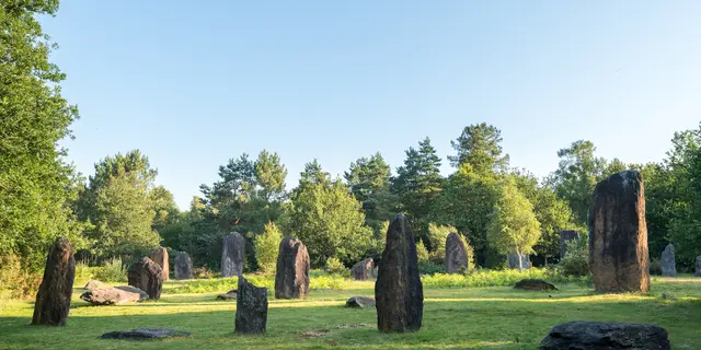 Menhirs de Monteneuf
