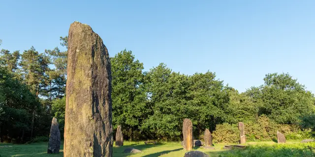 Menhirs de Monteneuf