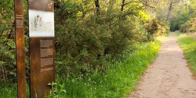 Menhirs de Monteneuf
