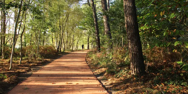Sentier Lac de Trémelin