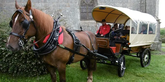 Balade en calèche