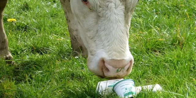 la_creme_rit_vente_ferme_Guilliers_Morbihan