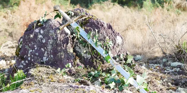 journée-en-broceliande-flore-et-legendes_contes_DestinationBroceliande