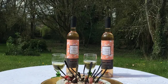 les parfums de brocéliande - apéritif - sureau - Ploërmel