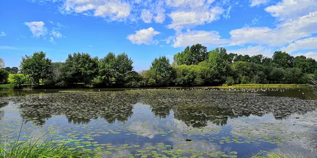 Etang de Blavon Bédée