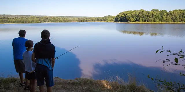 Étang de Paimpont en  Brocéliande