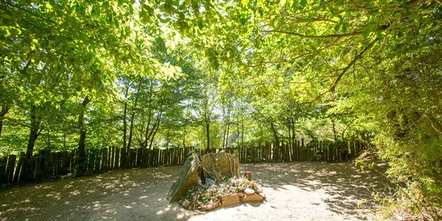 Tombeau de Merlin forêt de Brocéliande