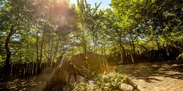Tombeau de Merlin forêt de Brocéliande