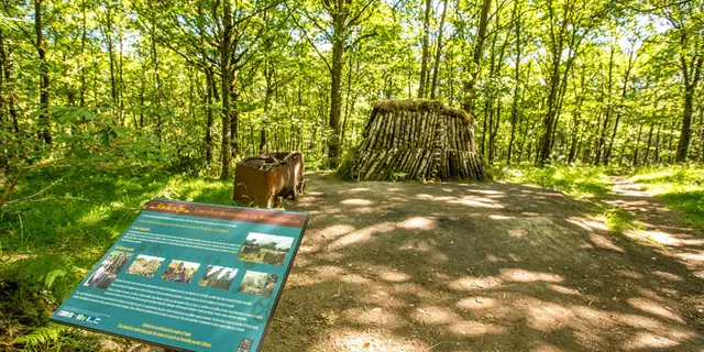 Forêt de Brocéliande