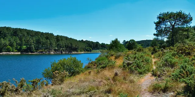 Retenue de la Chèze à Saint-Thurial