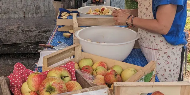 Vente de pommes