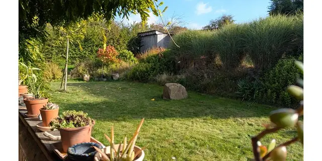 L'assiette dans le jardin