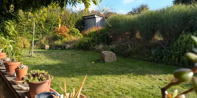 L'assiette dans le jardin