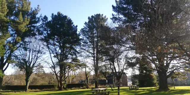 Paimpont_Enchanteur (3)