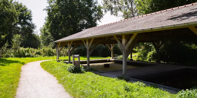 Etang de Blavon