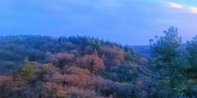 balades_contées_gouter_hiver_valsansretour_trehorenteuc_DestinationBroceliande