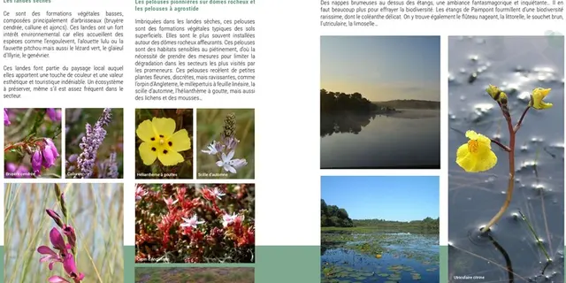 Natura2000_val-sans-retour3_Trehorenteuc_Paimpont_DestinationBroceliande