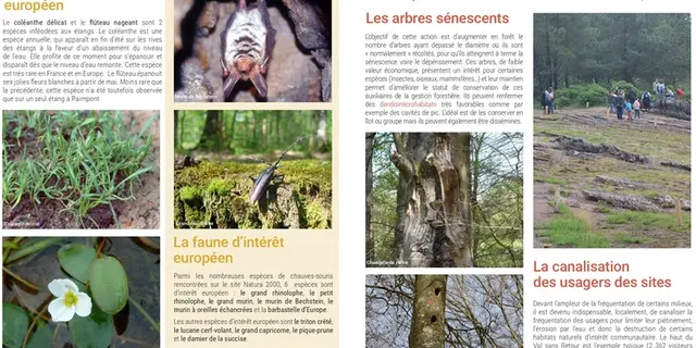 Natura2000_val-sans-retour4_Trehorenteuc_Paimpont_DestinationBroceliande