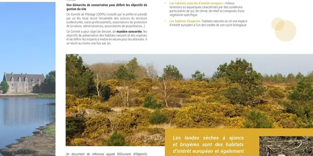 Natura2000_val-sans-retour1_Trehorenteuc_Paimpont_DestinationBroceliande