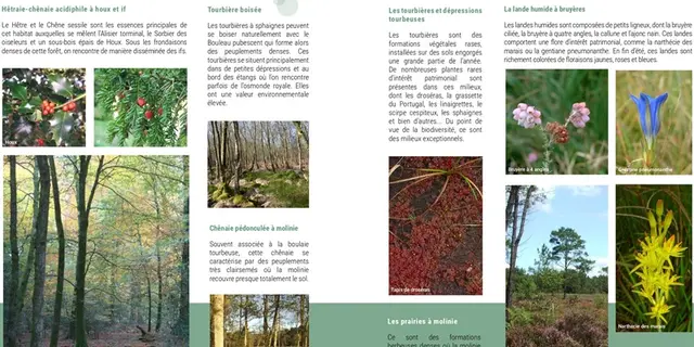 Natura2000_val-sans-retour2_Trehorenteuc_Paimpont_DestinationBroceliande