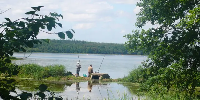 Etang du Boulet à Feins