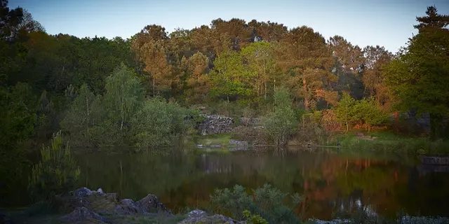 Animation - Nature - Monteneuf