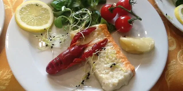 Restaurant le Jardin de Tirpen - Malestroit - Morbihan - Bretagne