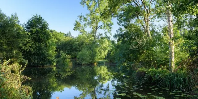 Rive Nature Sixt sur Aff (8)