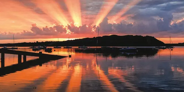 salondart_photos_guilliers_2024_DestinationBrocéliande