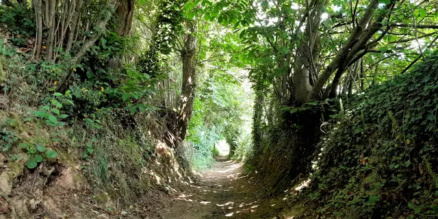 Circuit trail n° 5  Saint-Gonlay