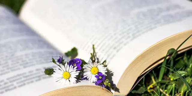 Saute-Ruisseaux_ Balade_Lecture(1)
