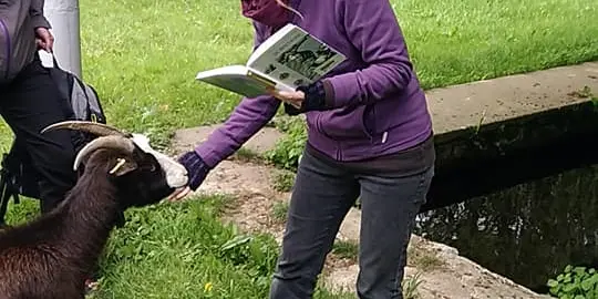 Saute-Ruisseaux_Balade_Lecture_Limerzel_2019-05-04(8)