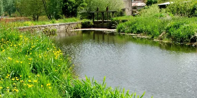 Vallée du Sedon