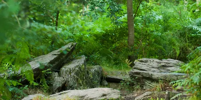 Tombeau du Géant - Campénéac - Brocéliande - Bretagne