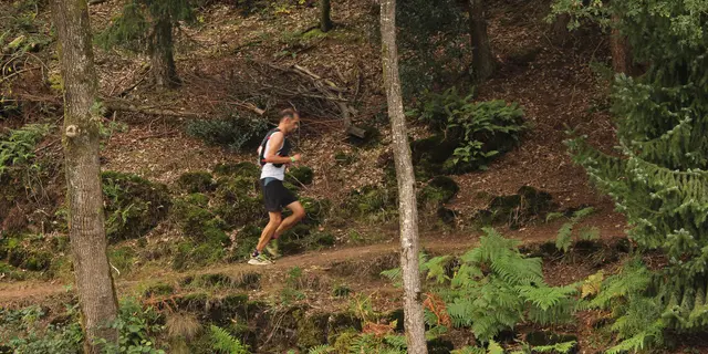 Trail des Légendes de Brocéliande
