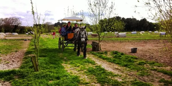 Trait d'Union à Brénature