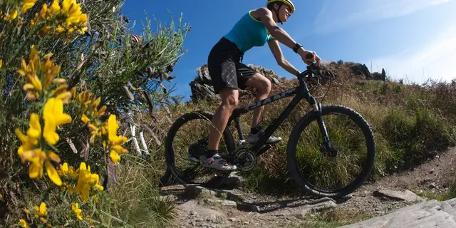Brocéliande en VTT