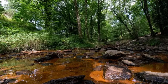 Val sans retour, Destination Brocéliande, Bretagne
