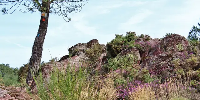 Vallon de la chambre au Loup Iffendic Brocéliande Bretagne ©office de tourisme lac de Trémelin (4)