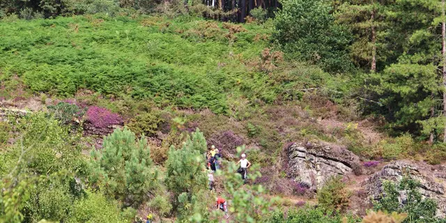 Vallon de la chambre au Loup Iffendic Brocéliande Bretagne ©office de tourisme lac de Trémelin (2)