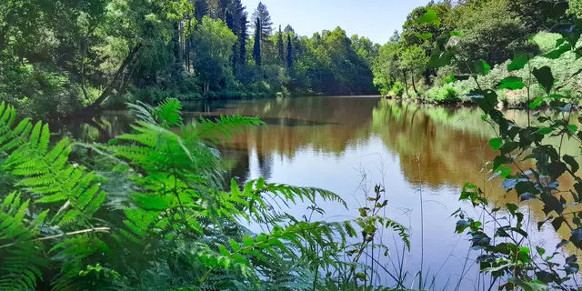 Vallon de la chambre au loup