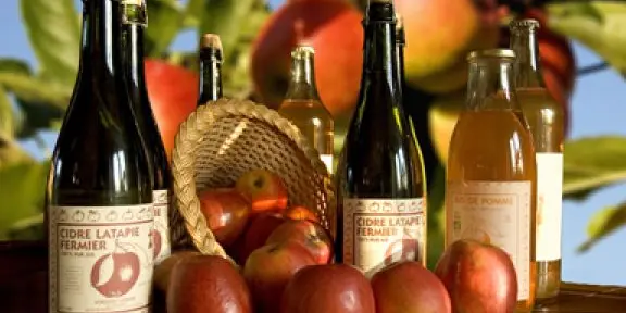 Vergers bio latapie cidre