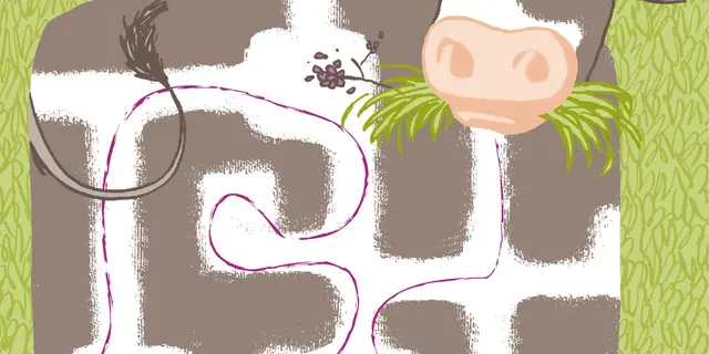 Visuel exposition De l'herbe au lait 12 mai au 6 juin 2026