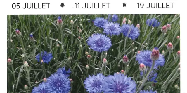 Visite jardin Oyona-Augan-2025-2