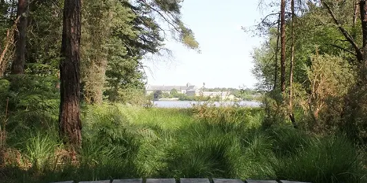 Étang de l'Abbaye de Paimpont