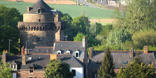 Vue panoramique sur la tour de Papegault - Montfort - ©Office de Tourisme